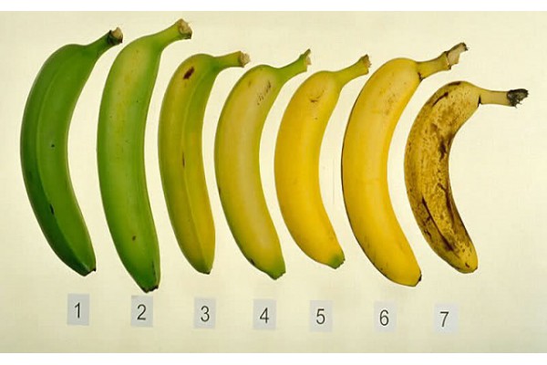 Que Banana Você Comeria? Sua Escolha Pode Afetar A Sua Saúde – Confira!