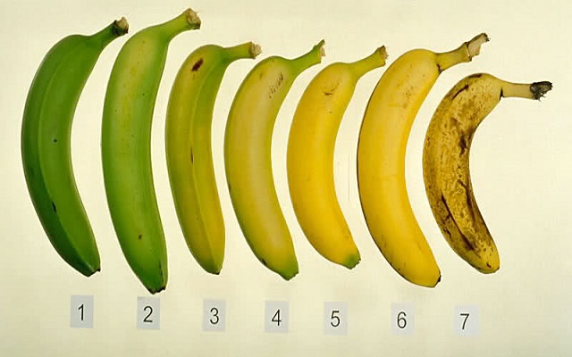 Que Banana Você Comeria? Sua Escolha Pode Afetar A Sua Saúde – Confira!